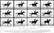 Muybridge's 1878 Horse in Motion